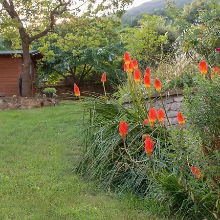 Holiday home Antonietta