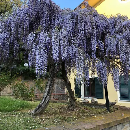 Casa Vacanze Antonietta